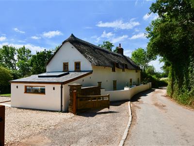 Picture 28